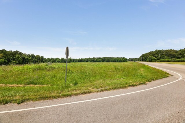 0 Iron Hill Rd W, Dickson, TN 37055 - photo 10