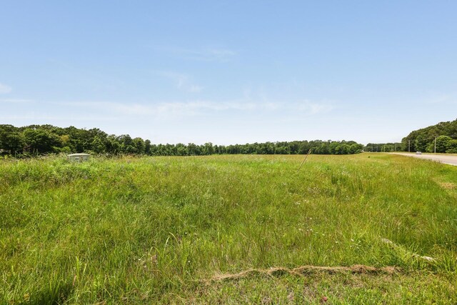 0 Iron Hill Rd W, Dickson, TN 37055 - photo 11