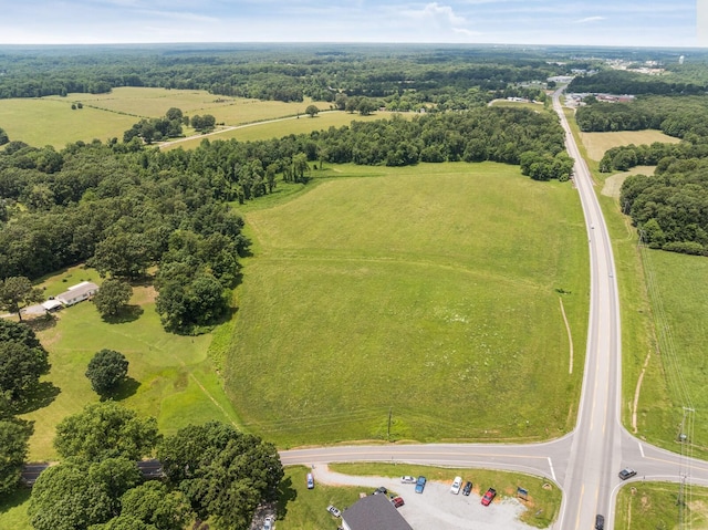 0 Iron Hill Rd W, Dickson, TN 37055 - photo 6