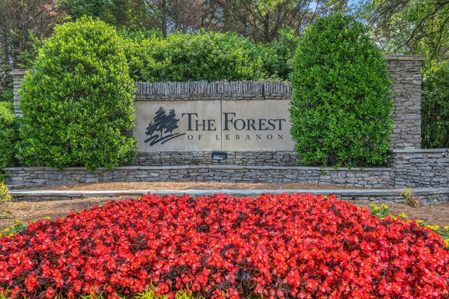 2732 Cherrydale Dr, Lebanon, TN 37087 - view of community sign