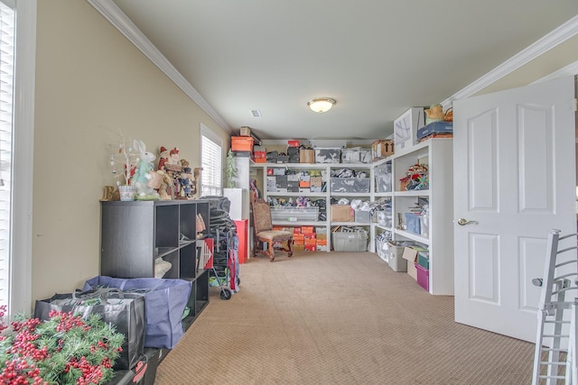 121 Highland Cir, Shelbyville, TN 37160 - photo 42
