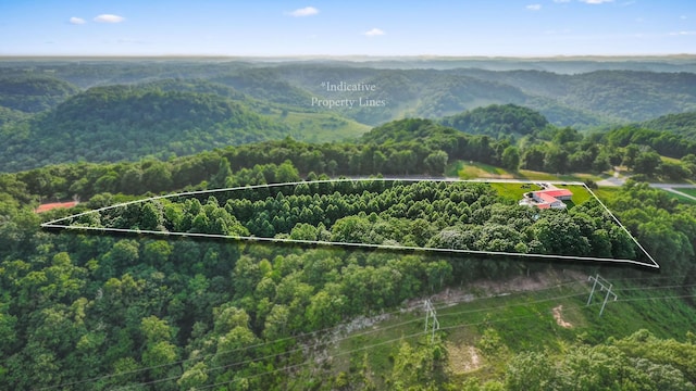 2376 Hurricane Ridge Rd, Smithville, TN 37166 - photo 76