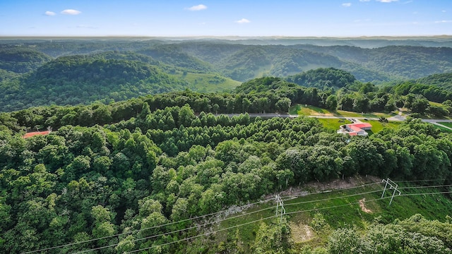 2376 Hurricane Ridge Rd, Smithville, TN 37166 - photo 75