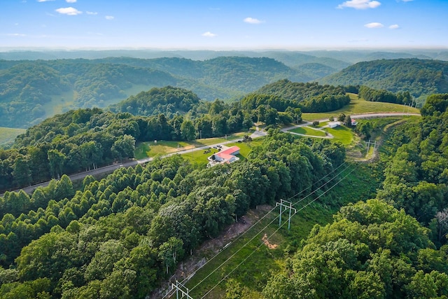 2376 Hurricane Ridge Rd, Smithville, TN 37166 - photo 77
