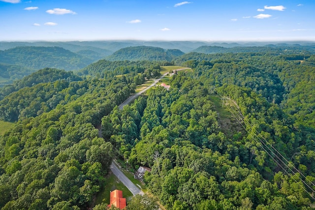 2376 Hurricane Ridge Rd, Smithville, TN 37166 - photo 72
