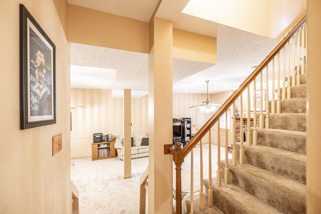 105 Maple View Trl, Hendersonville, TN 37075 - photo 85