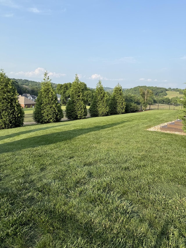 140 W Twelve Stones Xing, Goodlettsville, TN 37072 - view of yard