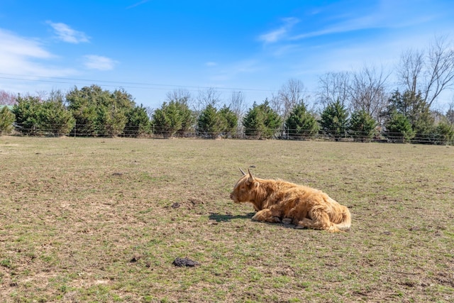 98 Breeden Rd, New Johnsonville, TN 37134 - view of yard with a view of countryside