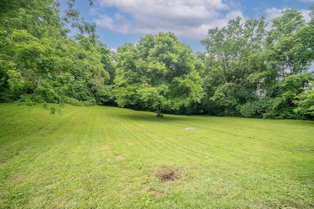 170 Old Carters Creek Pike, Franklin, TN 37064 - view of green lawn