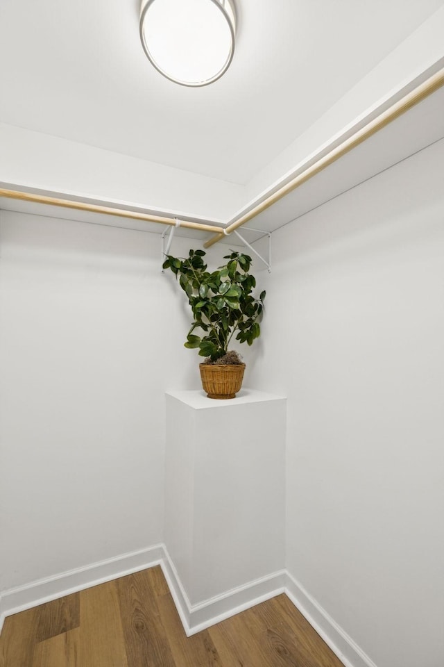 170 Old Carters Creek Pike, Franklin, TN 37064 - spacious closet with wood finished floors