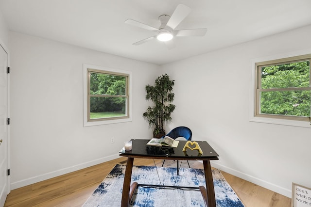 170 Old Carters Creek Pike, Franklin, TN 37064 - office featuring baseboards, light wood finished floors, and a ceiling fan