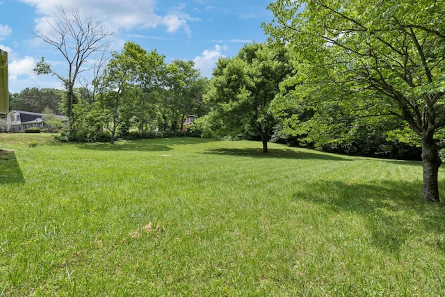 170 Old Carters Creek Pike, Franklin, TN 37064 - view of grassy yard