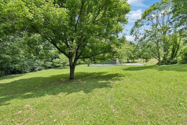 170 Old Carters Creek Pike, Franklin, TN 37064 - view of green lawn