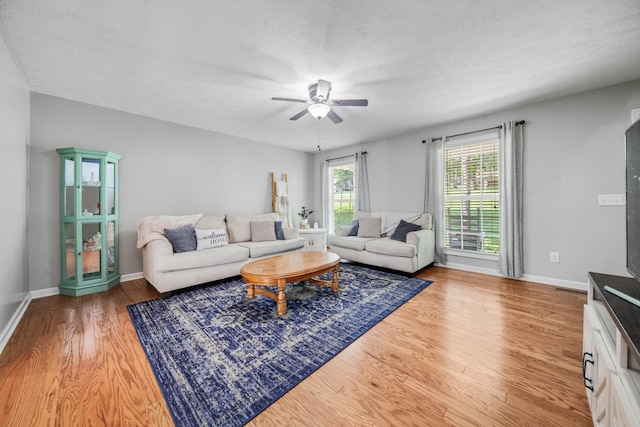 1515 Evelyn Ave, Chapel Hill, TN 37034 - photo 22