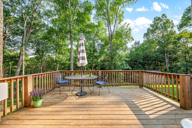 1515 Evelyn Ave, Chapel Hill, TN 37034 - photo 38