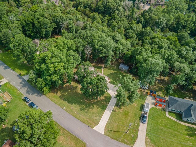 1515 Evelyn Ave, Chapel Hill, TN 37034 - photo 90