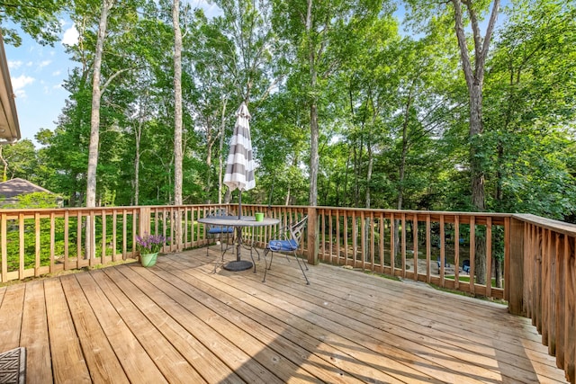 1515 Evelyn Ave, Chapel Hill, TN 37034 - photo 11
