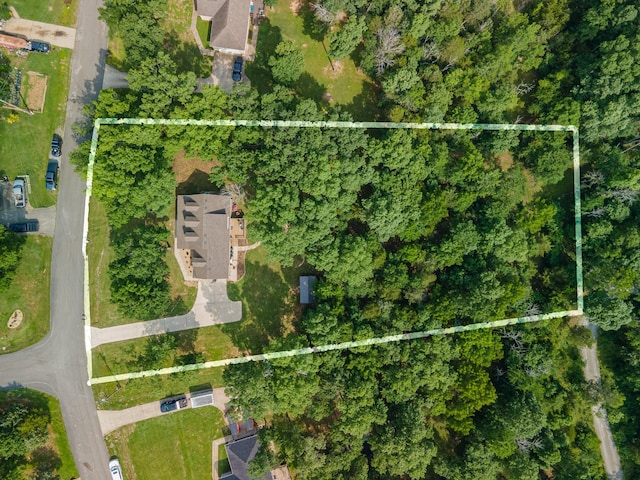 1515 Evelyn Ave, Chapel Hill, TN 37034 - photo 7