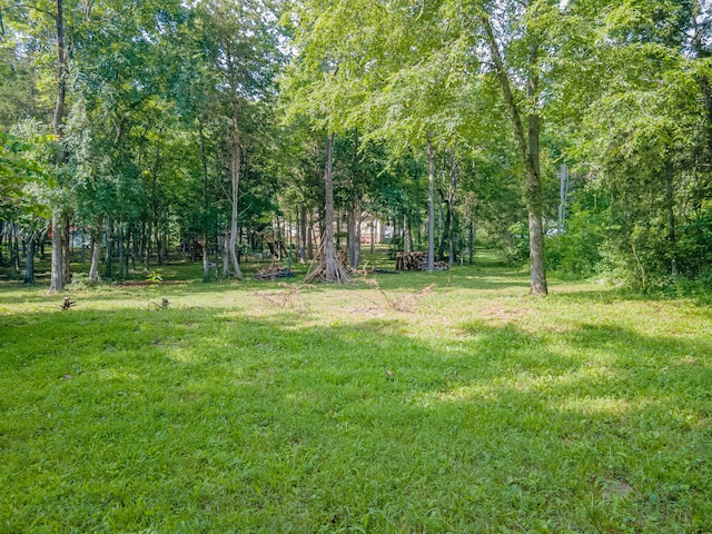 1515 Evelyn Ave, Chapel Hill, TN 37034 - photo 86