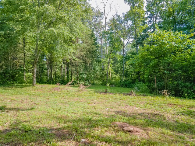 1515 Evelyn Ave, Chapel Hill, TN 37034 - photo 88