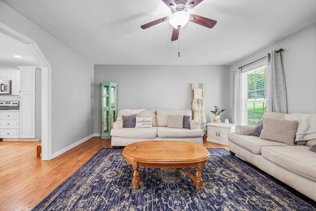 1515 Evelyn Ave, Chapel Hill, TN 37034 - photo 21