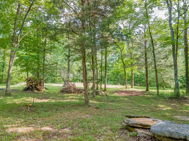 1515 Evelyn Ave, Chapel Hill, TN 37034 - photo 82