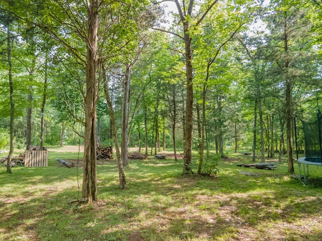 1515 Evelyn Ave, Chapel Hill, TN 37034 - photo 15