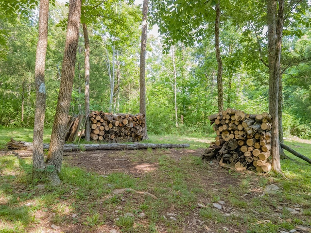 1515 Evelyn Ave, Chapel Hill, TN 37034 - photo 81