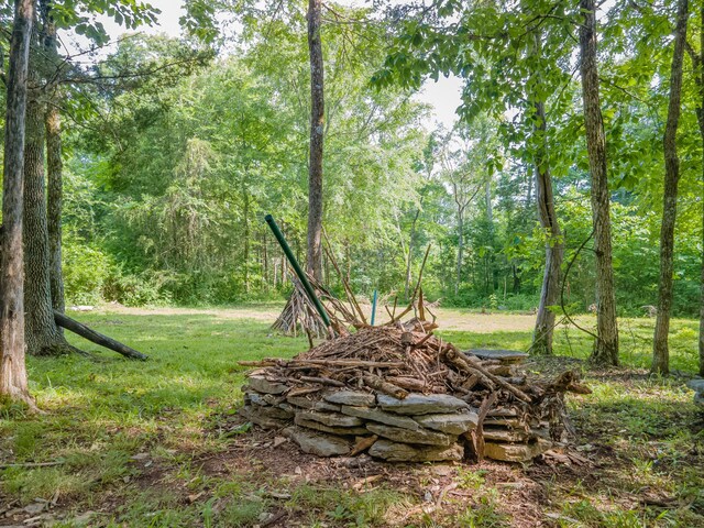 1515 Evelyn Ave, Chapel Hill, TN 37034 - photo 83
