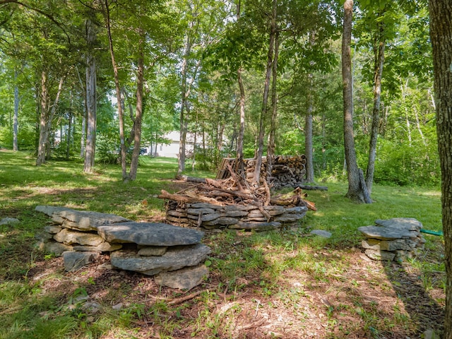 1515 Evelyn Ave, Chapel Hill, TN 37034 - photo 85