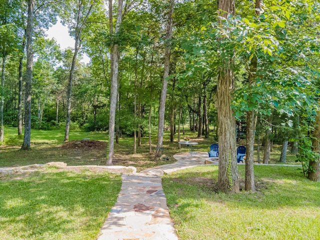 1515 Evelyn Ave, Chapel Hill, TN 37034 - photo 13