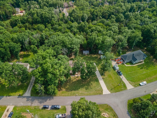 1515 Evelyn Ave, Chapel Hill, TN 37034 - photo 89