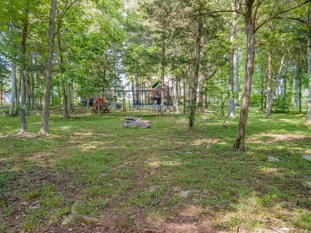 1515 Evelyn Ave, Chapel Hill, TN 37034 - photo 87
