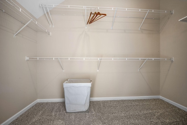 7504 Beechnut Way, Fairview, TN 37062 - spacious closet with carpet floors