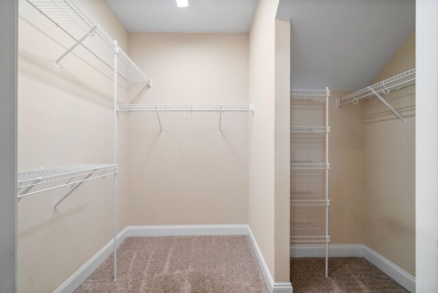 198 Crusaw Dr, Clarksville, TN 37043 - photo 27