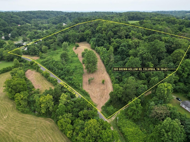 3011 Brown Hollow Rd, Columbia, TN 38401 - photo 16