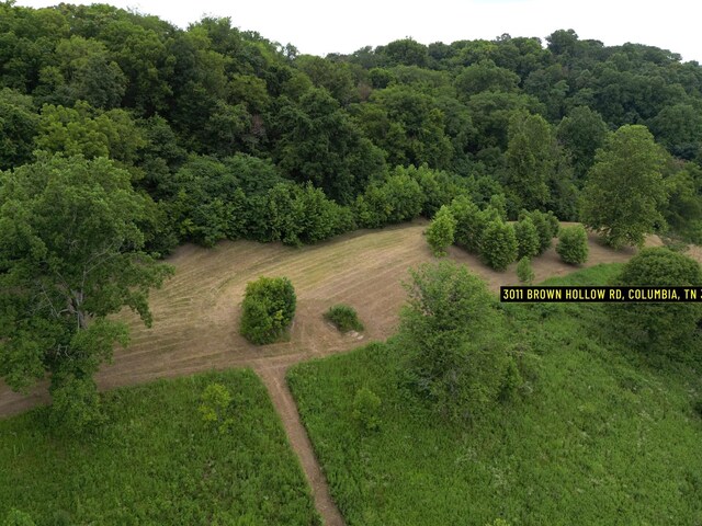 3011 Brown Hollow Rd, Columbia, TN 38401 - photo 15