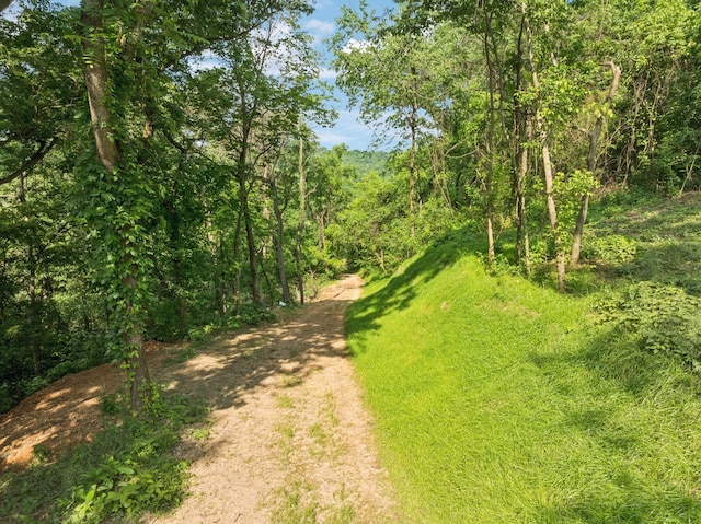 3011 Brown Hollow Rd, Columbia, TN 38401 - photo 12