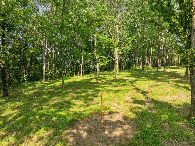 3011 Brown Hollow Rd, Columbia, TN 38401 - photo 14