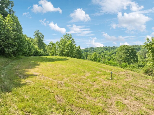 3011 Brown Hollow Rd, Columbia, TN 38401 - photo 4
