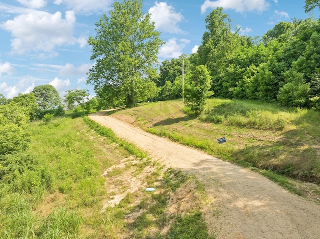 3011 Brown Hollow Rd, Columbia, TN 38401 - photo 5