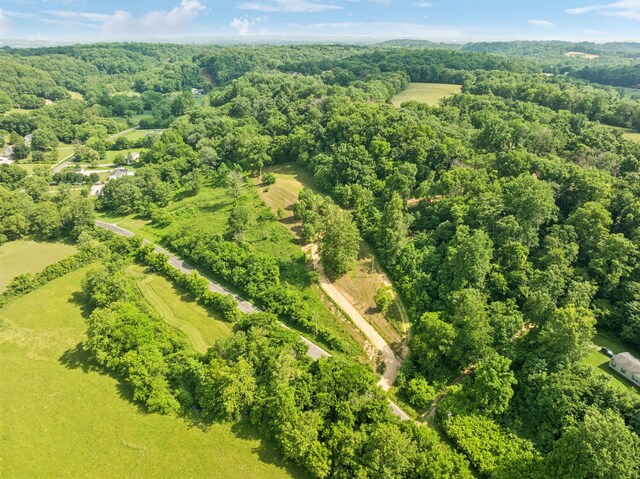 3011 Brown Hollow Rd, Columbia, TN 38401 - photo 3