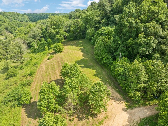 3011 Brown Hollow Rd, Columbia, TN 38401 - photo 9