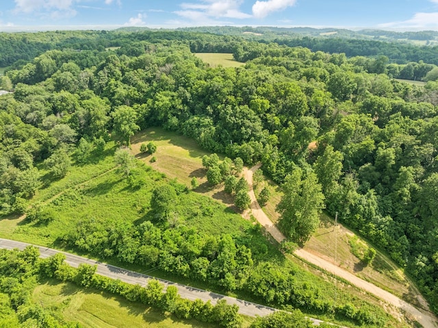3011 Brown Hollow Rd, Columbia, TN 38401 - photo 1