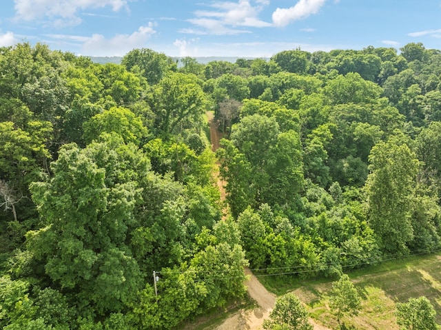 3011 Brown Hollow Rd, Columbia, TN 38401 - photo 10