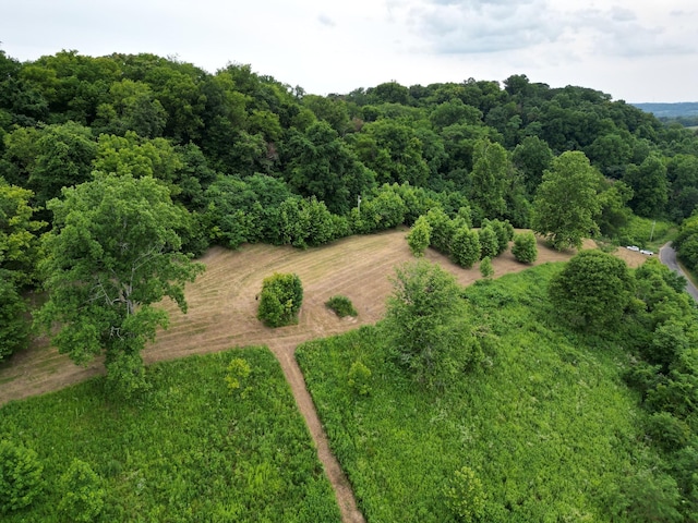3011 Brown Hollow Rd, Columbia, TN 38401 - photo 7