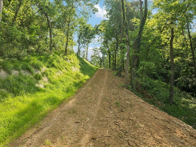 3011 Brown Hollow Rd, Columbia, TN 38401 - photo 11