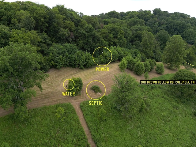 3011 Brown Hollow Rd, Columbia, TN 38401 - photo 2
