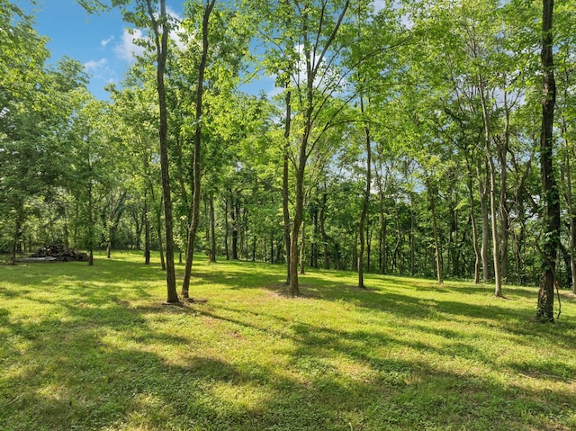 3011 Brown Hollow Rd, Columbia, TN 38401 - photo 13