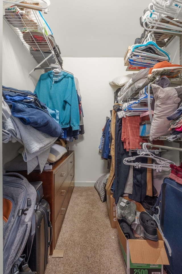 306 S Cameron Ct, Hermitage, TN 37076 - spacious closet with carpet